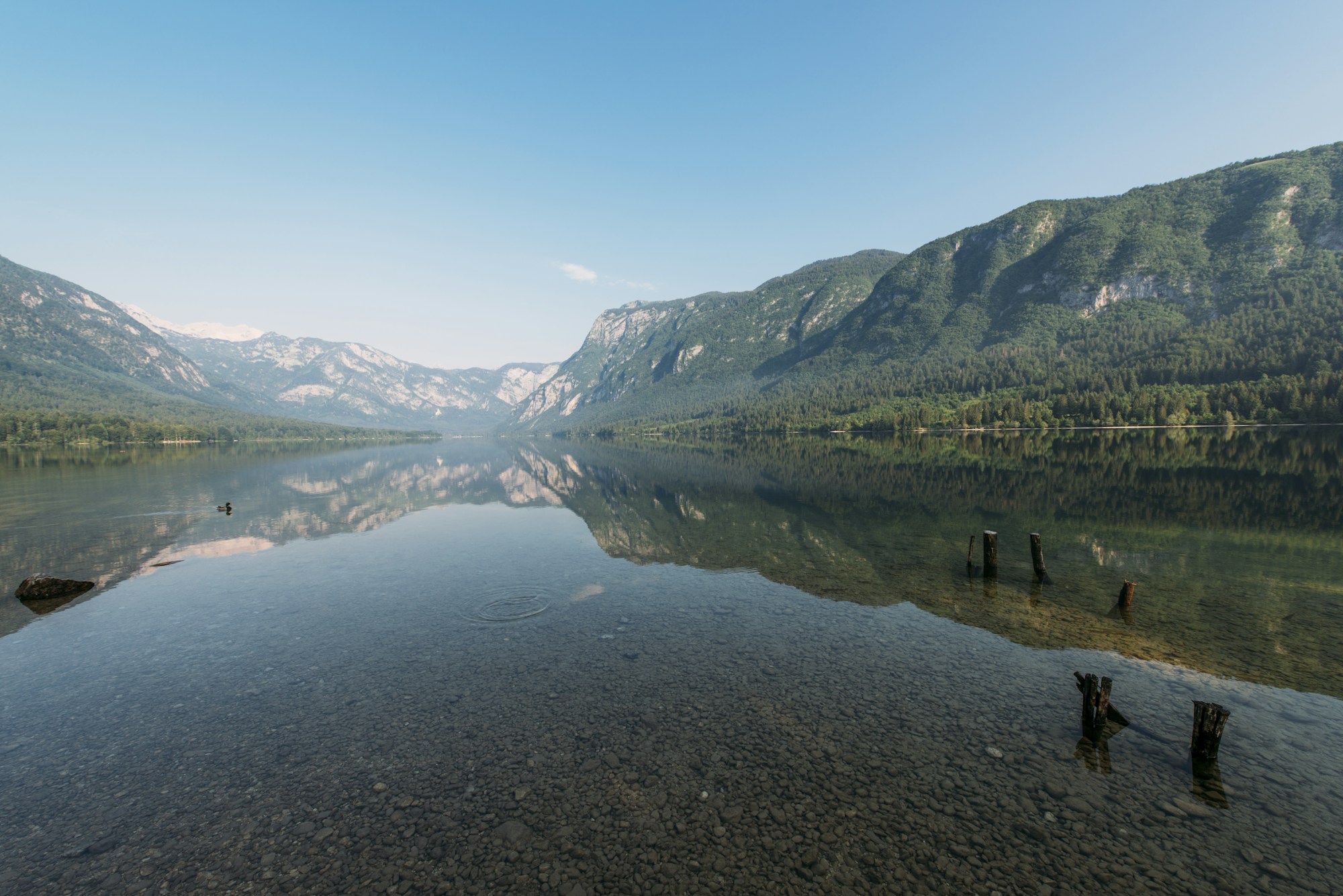 A calm mountain lake with wooded slopes reflected in the water